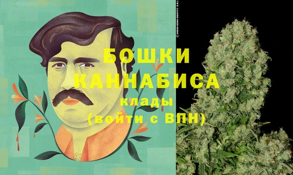 ПСИЛОЦИБИНОВЫЕ ГРИБЫ Верея
