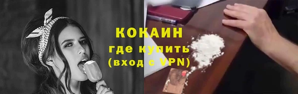 ПСИЛОЦИБИНОВЫЕ ГРИБЫ Верея