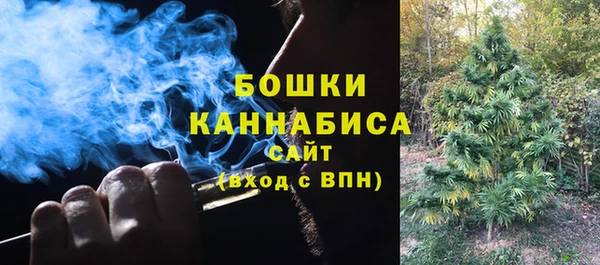 ПСИЛОЦИБИНОВЫЕ ГРИБЫ Верея