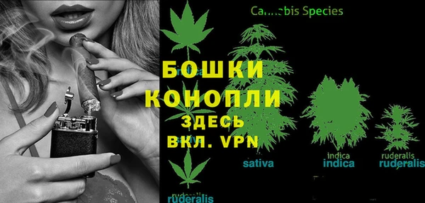 ПСИЛОЦИБИНОВЫЕ ГРИБЫ Верея