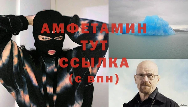 ПСИЛОЦИБИНОВЫЕ ГРИБЫ Верея
