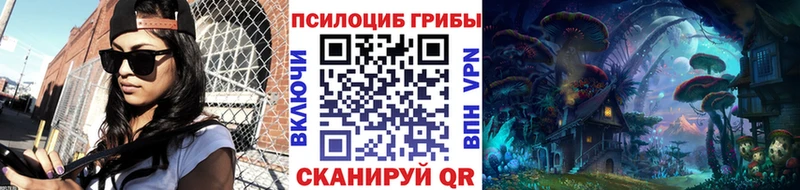 где купить наркоту  Новозыбков  Псилоцибиновые грибы ЛСД 
