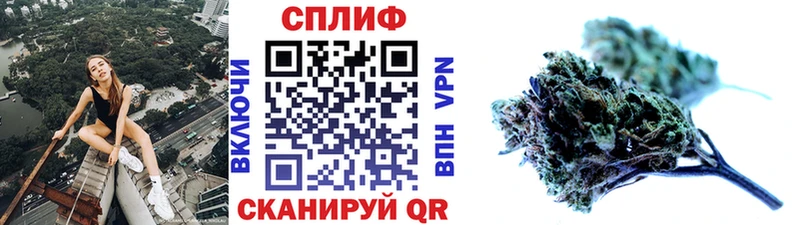 Марихуана SATIVA & INDICA  Новозыбков 